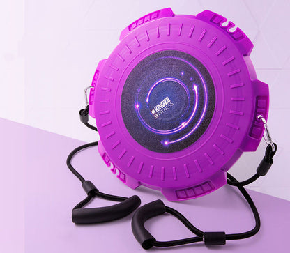 Twisting Disc Home Magnetic Therapy